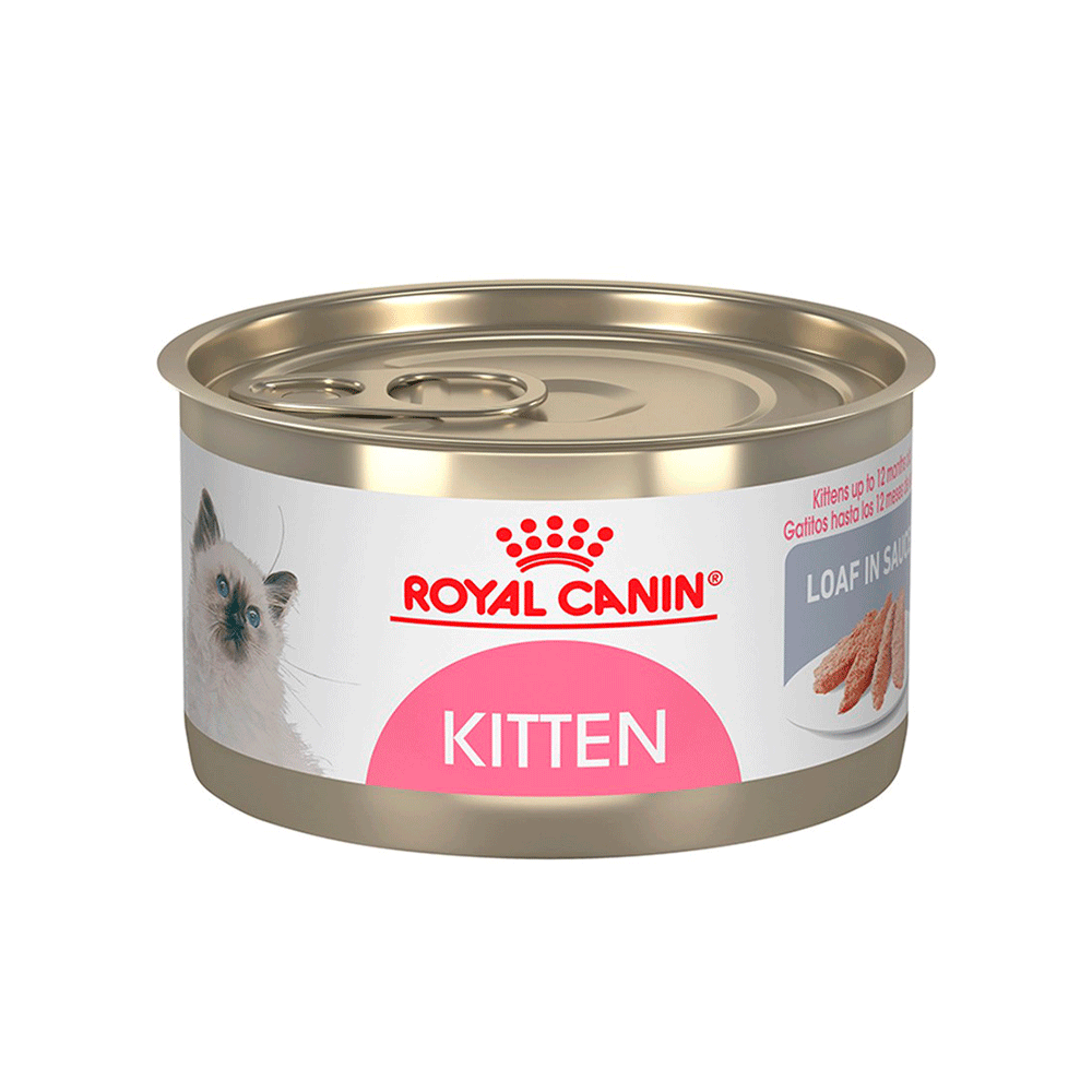 Lata Royal Canin Kitten Instinctive para Gato 145g Lata Royal Canin Kitten Instinctive para Gato 145g